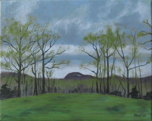 Spring at Cedar Rock